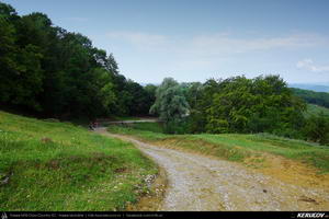 Trasee cu bicicleta MTB XC - Traseu MTB Campina - Melicesti - Telega - Mislea - Baicoi - Floresti de Andrei Vocurek