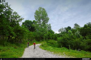 Trasee cu bicicleta MTB XC - Traseu MTB Campina - Melicesti - Telega - Mislea - Baicoi - Floresti de Andrei Vocurek