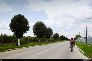 Trasee cu bicicleta MTB XC - Traseu MTB Campina - Melicesti - Telega - Mislea - Baicoi - Floresti de Andrei Vocurek