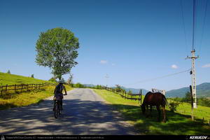 Trasee cu bicicleta MTB XC - Traseu MTB Cheia - Homoraciu - Slanic - Pietriceaua - Brebu - Campina de Andrei Vocurek