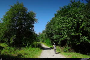 Trasee cu bicicleta MTB XC - Traseu MTB Cheia - Homoraciu - Slanic - Pietriceaua - Brebu - Campina de Andrei Vocurek