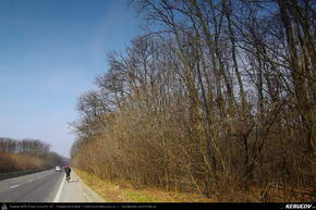 Trasee cu bicicleta MTB XC - Traseu MTB Bucuresti - Chitila - Ciocanesti: Centura Cicloturistica a Bucurestiului de Andrei Vocurek