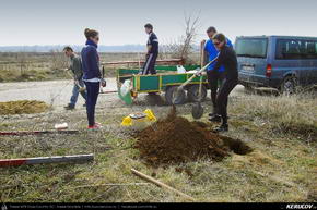 Trasee cu bicicleta MTB XC - Traseu MTB Bucuresti - Chitila - Ciocanesti: Centura Cicloturistica a Bucurestiului de Andrei Vocurek