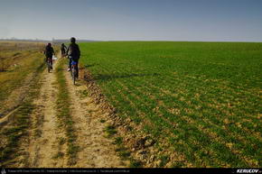 Trasee cu bicicleta MTB XC - Traseu MTB Bucuresti - Chitila - Ciocanesti: Centura Cicloturistica a Bucurestiului de Andrei Vocurek