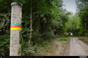 Trasee cu bicicleta MTB XC - Traseu MTB Viena - Hainburg - Wolfsthal - Bratislava : EuroVelo 6 - 1 de Andrei Vocurek
