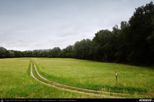 Trasee cu bicicleta MTB XC - Traseu MTB Viena - Hainburg - Wolfsthal - Bratislava : EuroVelo 6 - 1 de Andrei Vocurek