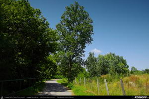 Trasee cu bicicleta MTB XC - Traseu MTB Szentendre - Budakalasz - Budapesta : EuroVelo 6 - 6 de Andrei Vocurek