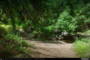 Trasee cu bicicleta MTB XC - Traseu MTB Szentendre - Budakalasz - Budapesta : EuroVelo 6 - 6 de Andrei Vocurek