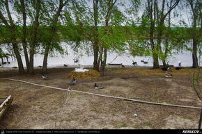Trasee cu bicicleta MTB XC - Traseu MTB Lehliu Gara - Lacul Mostistea - Sultana - Luptatori - Lehliu Gara de Andrei Vocurek