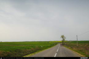 Trasee cu bicicleta MTB XC - Traseu MTB Lehliu Gara - Lacul Mostistea - Sultana - Luptatori - Lehliu Gara de Andrei Vocurek