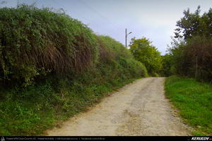 Trasee cu bicicleta MTB XC - Traseu MTB Marasesti - Panciu - Racoasa - Campuri - Soveja - Lepsa de Andrei Vocurek