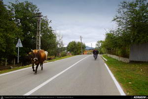 Trasee cu bicicleta MTB XC - Traseu MTB Marasesti - Panciu - Racoasa - Campuri - Soveja - Lepsa de Andrei Vocurek