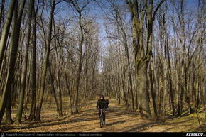 Trasee cu bicicleta MTB XC - Traseu MTB Bucuresti - Padurea Mogosoaia - Chitila - Chiajna - Lacul Morii de Andrei Vocurek