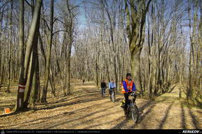 Trasee cu bicicleta MTB XC - Traseu MTB Bucuresti - Padurea Mogosoaia - Chitila - Chiajna - Lacul Morii de Andrei Vocurek