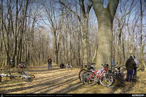 Trasee cu bicicleta MTB XC - Traseu MTB Bucuresti - Padurea Mogosoaia - Chitila - Chiajna - Lacul Morii de Andrei Vocurek