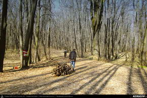 Trasee cu bicicleta MTB XC - Traseu MTB Bucuresti - Padurea Mogosoaia - Chitila - Chiajna - Lacul Morii de Andrei Vocurek