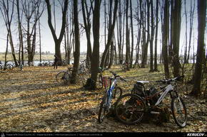 Trasee cu bicicleta MTB XC - Traseu MTB Bucuresti - Padurea Mogosoaia - Chitila - Chiajna - Lacul Morii de Andrei Vocurek