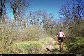Trasee cu bicicleta MTB XC - Traseu MTB Garboavele XC 2013: Padurea Garboavele (concurs MTB) de Andrei Vocurek