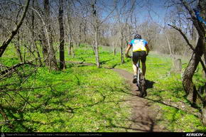 Trasee cu bicicleta MTB XC - Traseu MTB Garboavele XC 2013: Padurea Garboavele (concurs MTB) de Andrei Vocurek