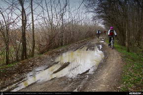 Trasee cu bicicleta MTB XC - Traseu MTB Peris - Balteni - Gorgota - Silistea Snagovului - Ciolpani - Peris de Andrei Vocurek