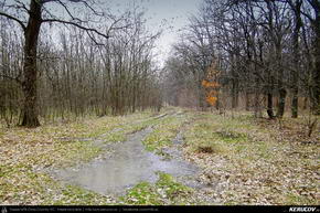 Trasee cu bicicleta MTB XC - Traseu MTB Peris - Balteni - Gorgota - Silistea Snagovului - Ciolpani - Peris de Andrei Vocurek