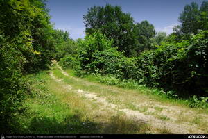 Trasee cu bicicleta MTB XC - Traseu MTB Ploiesti - Valenii de Munte - Soimari - Varbila - Bucov - Ploiesti de Andrei Vocurek