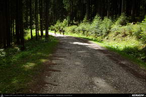 Trasee cu bicicleta MTB XC - Traseu MTB Predeal - Valea Azugii - Azuga - Busteni - Sinaia - Valea Rea de Andrei Vocurek