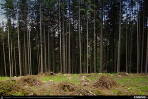 Trasee cu bicicleta MTB XC - Traseu MTB Predeal - Valea Azugii - Azuga - Busteni - Sinaia - Valea Rea de Andrei Vocurek
