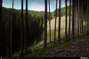 Trasee cu bicicleta MTB XC - Traseu MTB Predeal - Valea Azugii - Azuga - Busteni - Sinaia - Valea Rea de Andrei Vocurek
