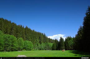 Trasee cu bicicleta MTB XC - Traseu MTB Predeal - Valea Azugii - Azuga - Busteni - Sinaia - Valea Rea de Andrei Vocurek