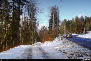 Trasee cu bicicleta MTB XC - Traseu MTB Predeal - Sipote - Forban - Diham - Poiana Izvoarelor - Busteni de Andrei Vocurek