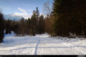Trasee cu bicicleta MTB XC - Traseu MTB Predeal - Sipote - Forban - Diham - Poiana Izvoarelor - Busteni de Andrei Vocurek