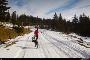 Trasee cu bicicleta MTB XC - Traseu MTB Predeal - Sipote - Forban - Diham - Poiana Izvoarelor - Busteni de Andrei Vocurek