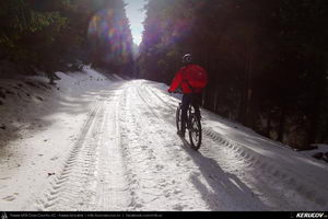 Trasee cu bicicleta MTB XC - Traseu MTB Predeal - Sipote - Forban - Diham - Poiana Izvoarelor - Busteni de Andrei Vocurek