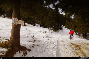 Trasee cu bicicleta MTB XC - Traseu MTB Predeal - Sipote - Forban - Diham - Poiana Izvoarelor - Busteni de Andrei Vocurek
