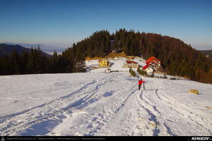 Trasee cu bicicleta MTB XC - Traseu MTB Predeal - Sipote - Forban - Diham - Poiana Izvoarelor - Busteni de Andrei Vocurek