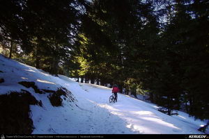 Trasee cu bicicleta MTB XC - Traseu MTB Predeal - Sipote - Forban - Diham - Poiana Izvoarelor - Busteni de Andrei Vocurek