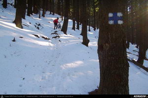 Trasee cu bicicleta MTB XC - Traseu MTB Predeal - Sipote - Forban - Diham - Poiana Izvoarelor - Busteni de Andrei Vocurek
