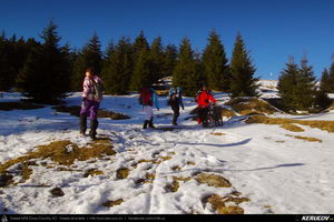 Trasee cu bicicleta MTB XC - Traseu MTB Predeal - Sipote - Forban - Diham - Poiana Izvoarelor - Busteni de Andrei Vocurek