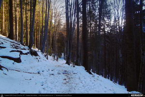 Trasee cu bicicleta MTB XC - Traseu MTB Predeal - Sipote - Forban - Diham - Poiana Izvoarelor - Busteni de Andrei Vocurek