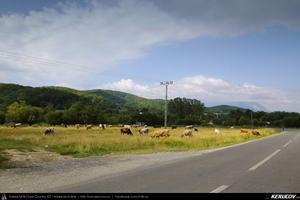 Trasee cu bicicleta MTB XC - Traseu MTB Predeal - Zarnesti - Rasnov - Poiana Brasov - Brasov (2 zile) de Andrei Vocurek