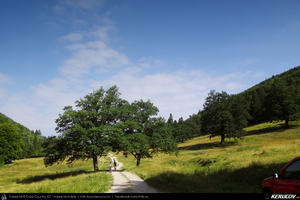 Trasee cu bicicleta MTB XC - Traseu MTB Predeal - Zarnesti - Rasnov - Poiana Brasov - Brasov (2 zile) de Andrei Vocurek