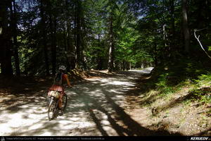 Trasee cu bicicleta MTB XC - Traseu MTB Predeal - Zarnesti - Rasnov - Poiana Brasov - Brasov (2 zile) de Andrei Vocurek