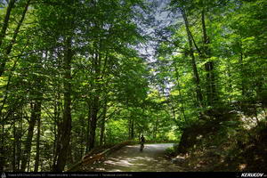 Trasee cu bicicleta MTB XC - Traseu MTB Predeal - Zarnesti - Rasnov - Poiana Brasov - Brasov (2 zile) de Andrei Vocurek