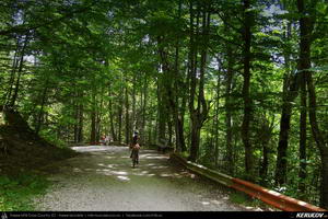 Trasee cu bicicleta MTB XC - Traseu MTB Predeal - Zarnesti - Rasnov - Poiana Brasov - Brasov (2 zile) de Andrei Vocurek