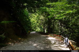 Trasee cu bicicleta MTB XC - Traseu MTB Predeal - Zarnesti - Rasnov - Poiana Brasov - Brasov (2 zile) de Andrei Vocurek