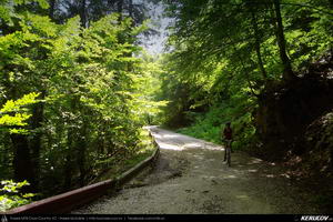 Trasee cu bicicleta MTB XC - Traseu MTB Predeal - Zarnesti - Rasnov - Poiana Brasov - Brasov (2 zile) de Andrei Vocurek