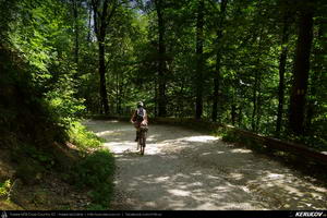 Trasee cu bicicleta MTB XC - Traseu MTB Predeal - Zarnesti - Rasnov - Poiana Brasov - Brasov (2 zile) de Andrei Vocurek