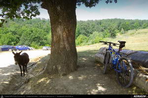 Trasee cu bicicleta MTB XC - Traseu MTB Predeal - Zarnesti - Rasnov - Poiana Brasov - Brasov (2 zile) de Andrei Vocurek
