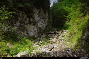 Trasee cu bicicleta MTB XC - Traseu MTB Predeal - Zarnesti - Rasnov - Poiana Brasov - Brasov (2 zile) de Andrei Vocurek